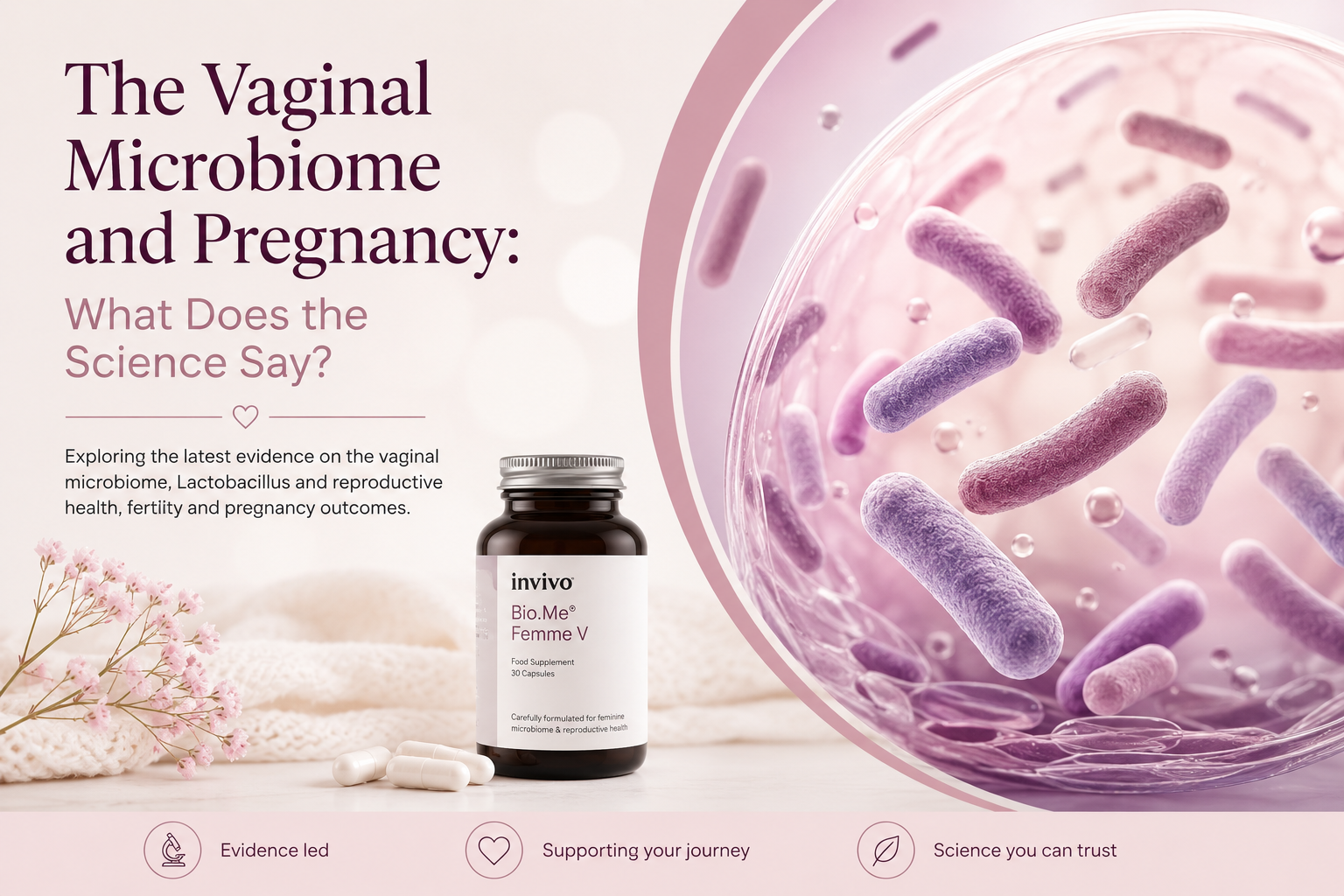 vaginal microbiome pregnancy loss lactobacillus